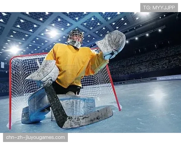 冰球训练装备提高运动员技能,山东制造引领行业潮流,冰球训练视频